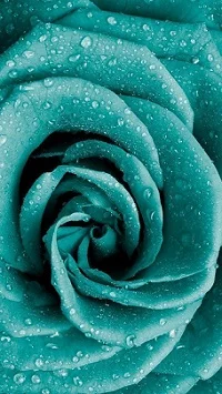 aesthetic aqua background hd