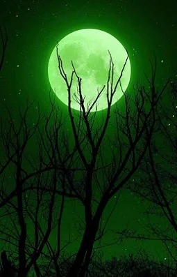 sage green wallpaper aesthetic