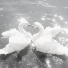 White aesthetic