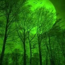 Green Aesthetic